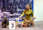 Победители 3 группы_3