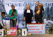 Победители 4 группы_1