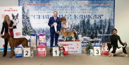 Победители 6 группы_1