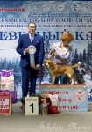 Победители 6 группы_2