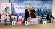 Победители 7 группы_1