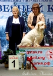 Выставки 13 - 14 декабря 2014 года.