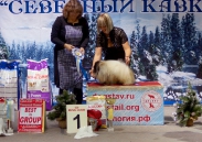 Победители 9 группы_2