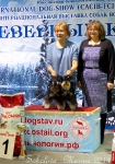 пары, костюмы, младшие ЮХ_5
