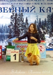пары, костюмы, младшие ЮХ_7