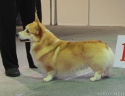 Best_1