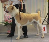 Best_47