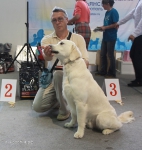 Best_31