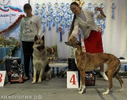Best_3