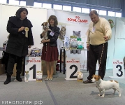 Победители_2